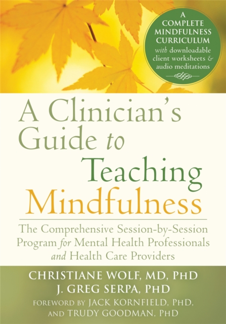 A Clinician's Guide to Teaching Mindfulness : The Comprehensive Session-by-Session Program for Mental Health Professionals and Health Care Providers, Paperback / softback Book