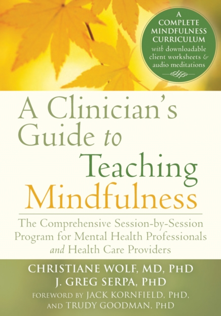 Clinician's Guide to Teaching Mindfulness, EPUB eBook