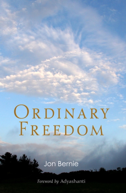 Ordinary Freedom, EPUB eBook