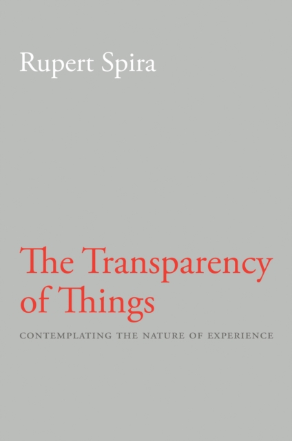 Transparency of Things : Contemplating the Nature of Experience, Paperback / softback Book