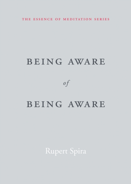 Being Aware of Being Aware, EPUB eBook