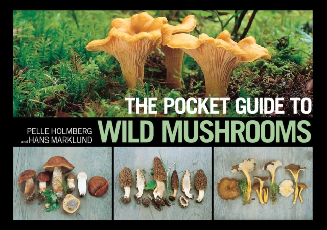 The Pocket Guide to Wild Mushrooms : Helpful Tips for Mushrooming in the Field, EPUB eBook