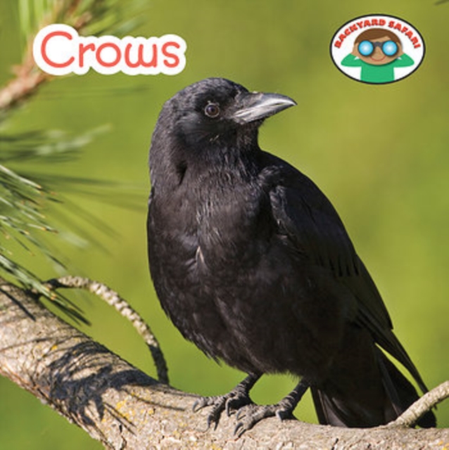 Crows, PDF eBook