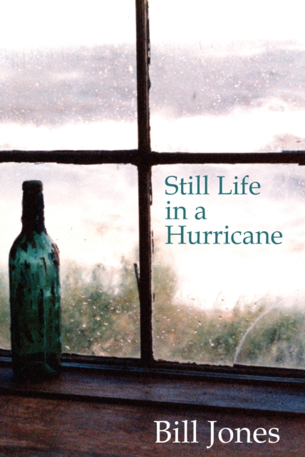 Stil Life in a Hurricane, EPUB eBook