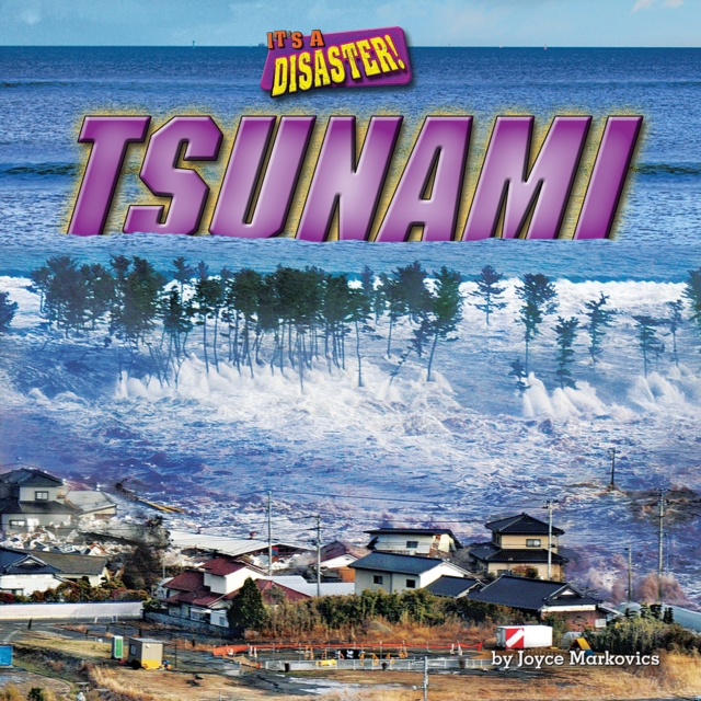 Tsunami, PDF eBook