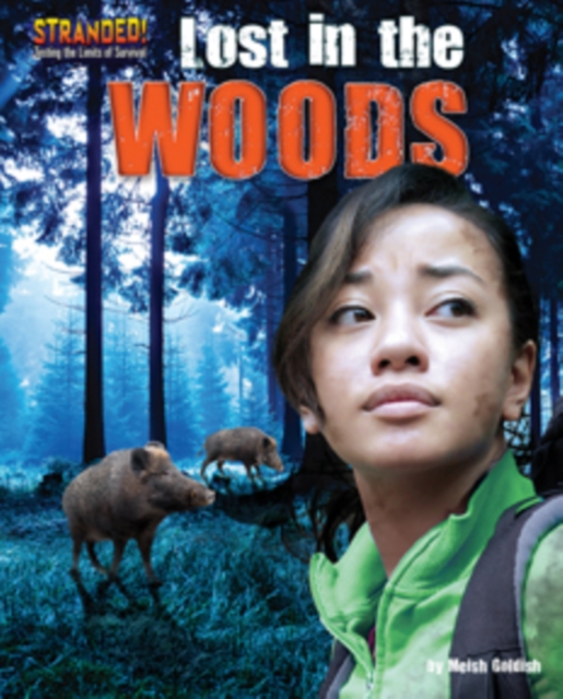 Lost in the Woods, PDF eBook