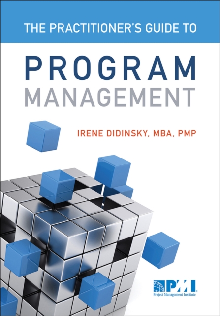 Practitioner's Guide to Program Management, Paperback / softback Book