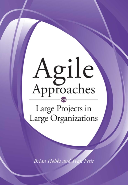 Agile Approaches on Large Projects in Large Organizations, EPUB eBook
