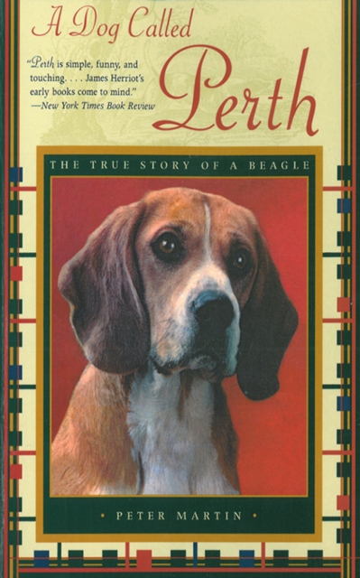 A Dog Called Perth: The True Story of a Beagle, EPUB eBook