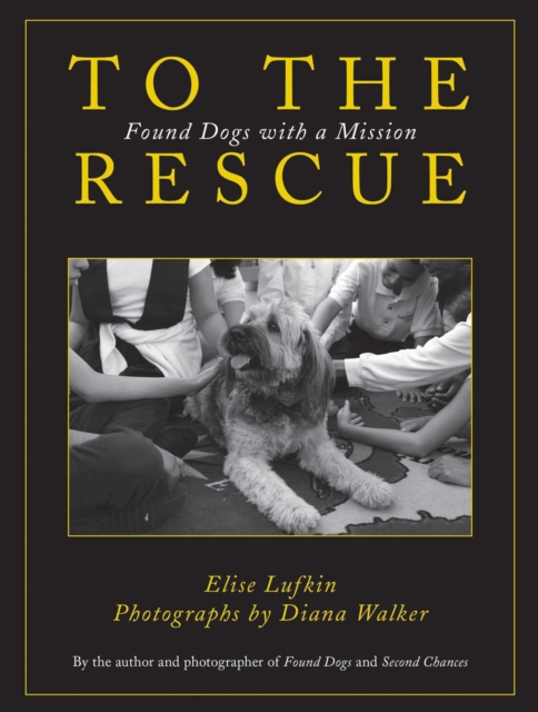 To the Rescue : Found Dogs with a Mission, EPUB eBook