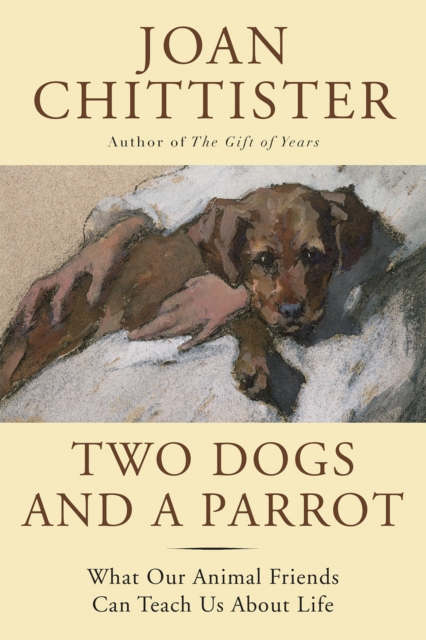 Two Dogs and a Parrot : What Our Animal Friends Can Teach Us About Life, EPUB eBook