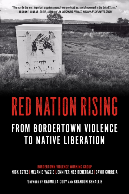 Red Nation Rising : From Border Town Violence to Native Liberation, Paperback / softback Book