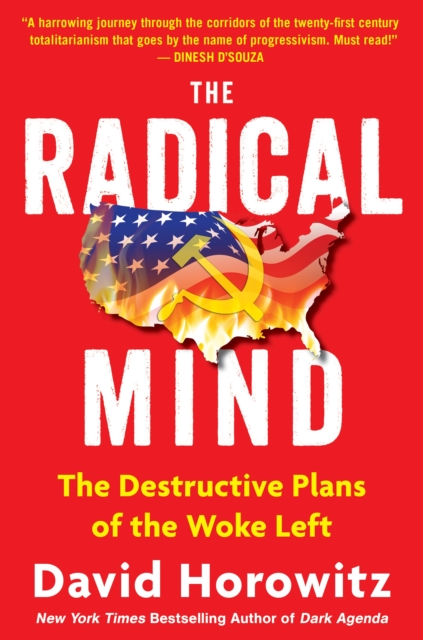 The Radical Mind : The Destructive Plans of the Woke Left, EPUB eBook