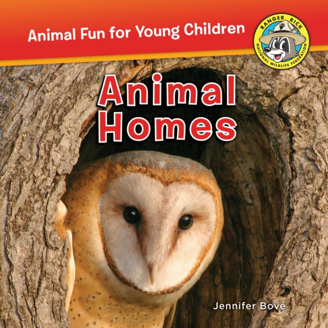 Animal Homes : Animal Homes, EPUB eBook