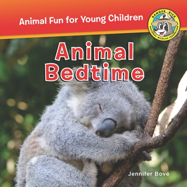 Animal Bedtime, Paperback / softback Book