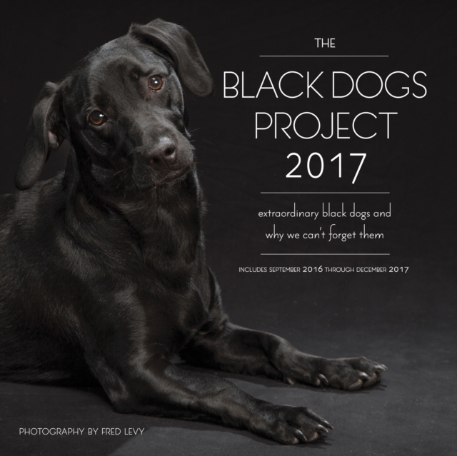 The Black Dogs Project 2017 : 16-Month Calendar September 2016 Through December 2017, Calendar Book