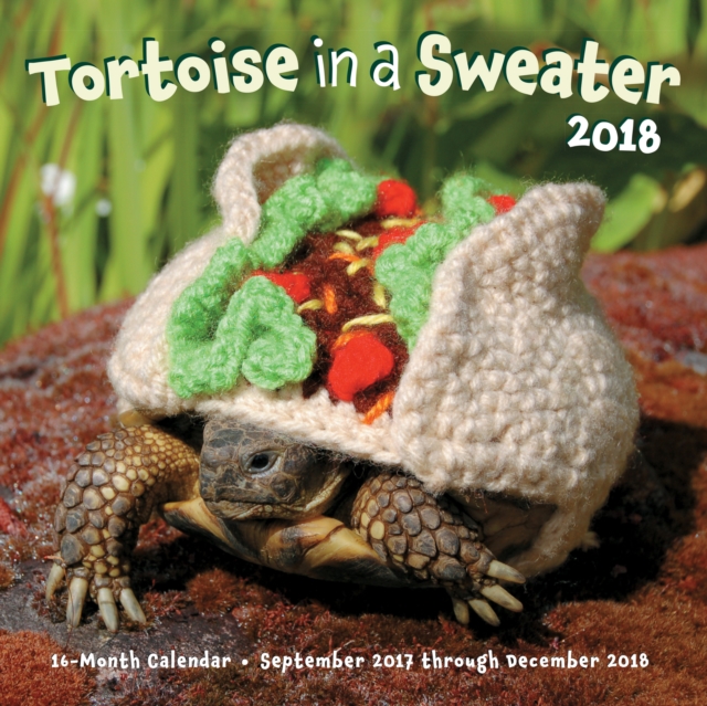 Tortoise in a Sweater 2018 : 16-Month Calendar September 2017 through December 2018, Calendar Book