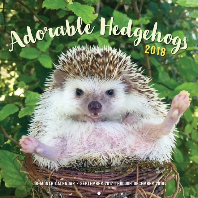 Adorable Hedgehogs 2018 : 16-Month Calendar September 2017 through December 2018, Calendar Book