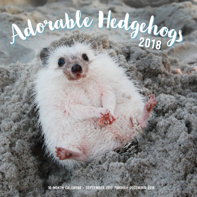 Adorable Hedgehogs Mini 2018 : 16 Month Calendar Includes September 2017 Through December 2018, Calendar Book