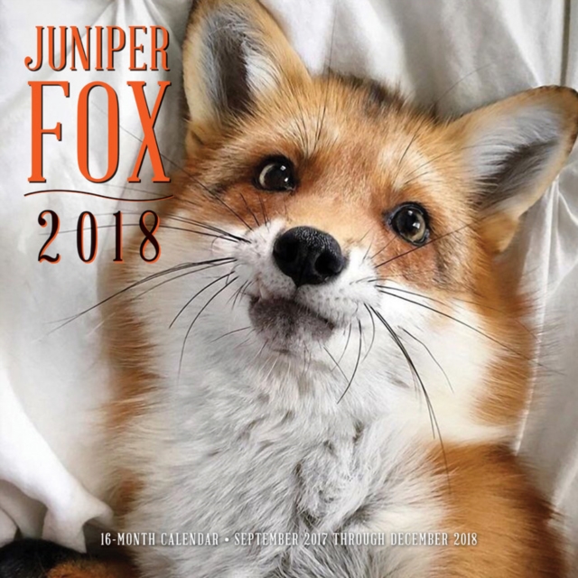 Juniper Fox 2018 : 16 Month Calendar Includes September 2017 Through December 2018, Calendar Book