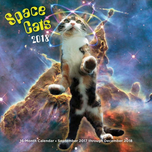 Space Cats 2018 : 16 Month Calendar Includes September 2017 Through December 2018, Calendar Book