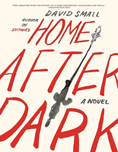 Home After Dark : A Novel, Paperback / softback Book