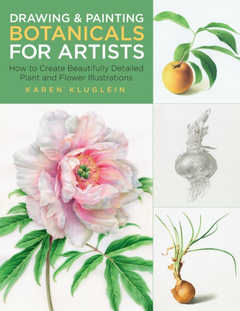 Drawing and Painting Botanicals for Artists : How to Create Beautifully Detailed Plant and Flower Illustrations Volume 4, Paperback / softback Book