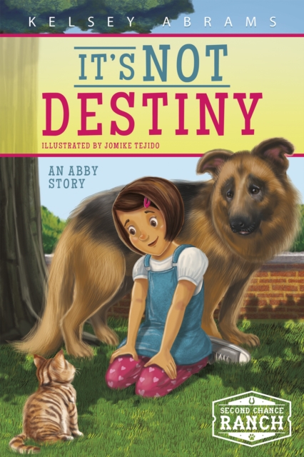 It's Not Destiny: An Abby Story, Paperback / softback Book