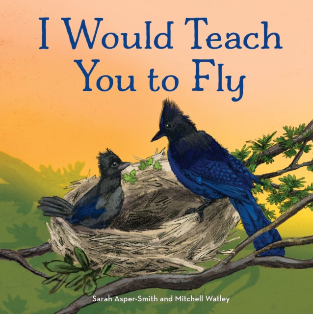 I Would Teach You to Fly, Hardback Book
