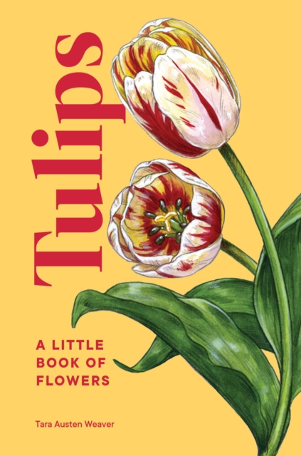 Tulips : A Little Book of Flowers, Hardback Book