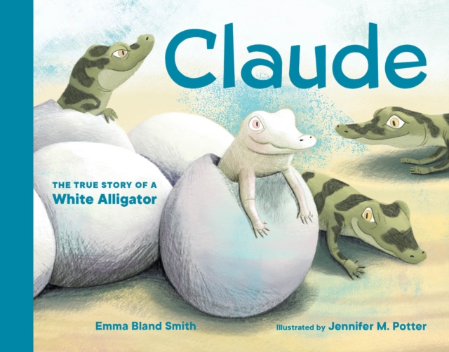 Claude : The True Story of a White Alligator, Board book Book