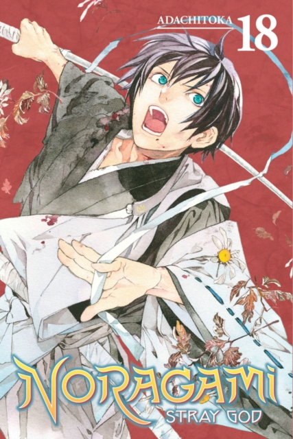 Noragami: Stray God 18, Paperback / softback Book