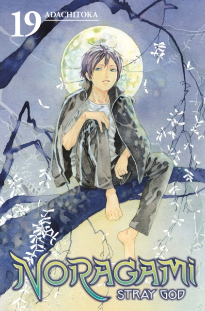 Noragami: Stray God 19, Paperback / softback Book