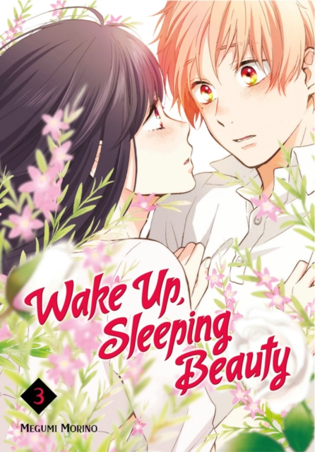 Wake Up, Sleeping Beauty 3, Paperback / softback Book