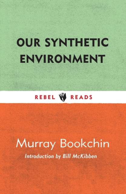 Our Synthetic Environment, EPUB eBook