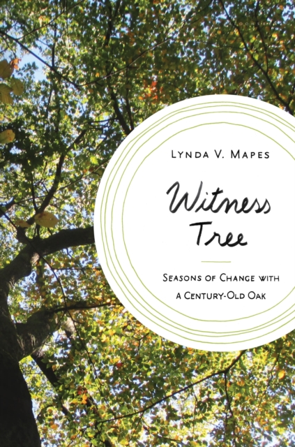 Witness Tree : Seasons of Change with a Century-Old Oak, Hardback Book