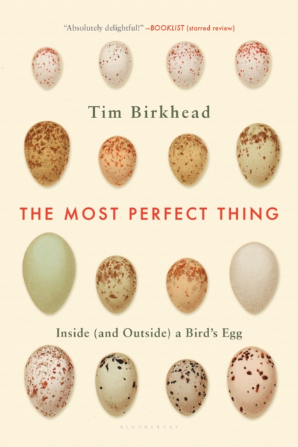 The Most Perfect Thing : Inside (and Outside) a Bird's Egg, EPUB eBook