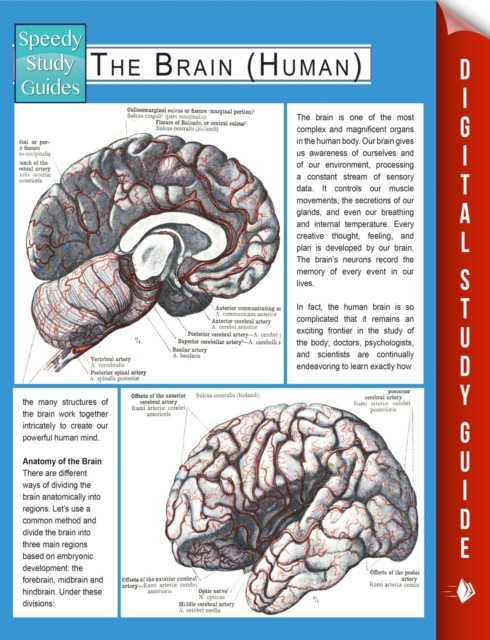 The Brain (Human) (Speedy Study Guides), EPUB eBook