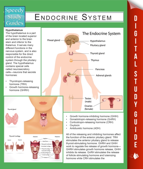 Endocrine System (Speedy Study Guides), PDF eBook