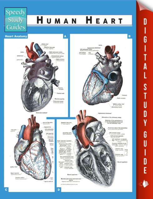 Human Heart (Speedy Study Guides), EPUB eBook