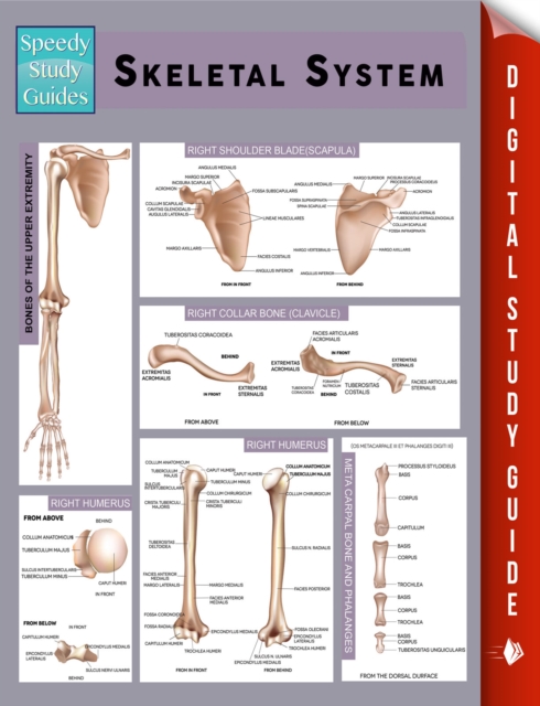 Skeletal System (Speedy Study Guides), EPUB eBook