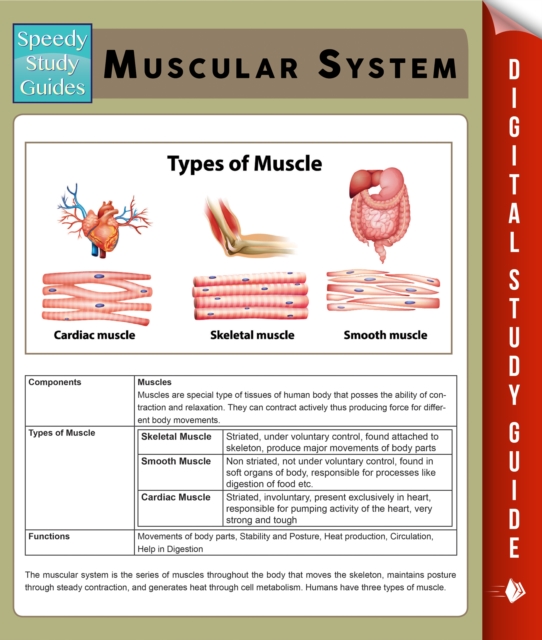 Muscular System (Speedy Study Guides), PDF eBook