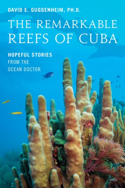 Remarkable Reefs Of Cuba : Hopeful Stories From the Ocean Doctor, EPUB eBook