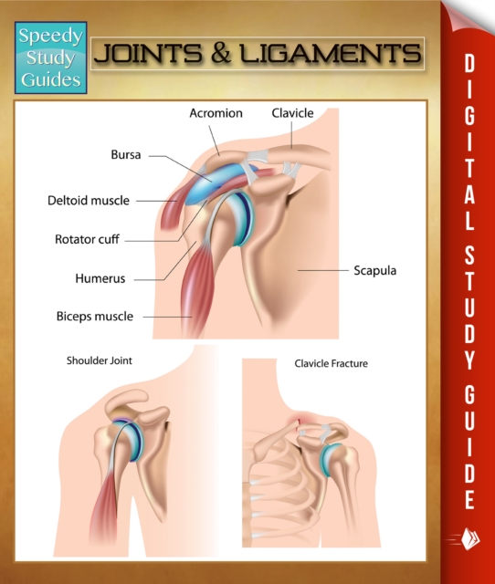 Joints & Ligaments : Speedy Study Guides, EPUB eBook