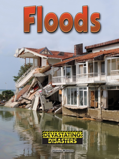 Floods, PDF eBook