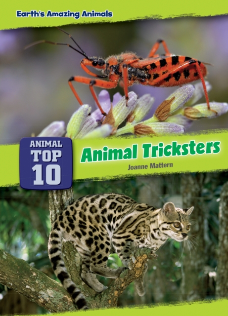 Animal Tricksters, EPUB eBook