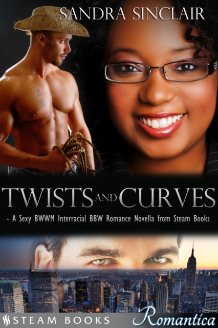 Twists and Curves - A Sexy BWWM Interracial BBW Romance Novella from Steam Books, EPUB eBook