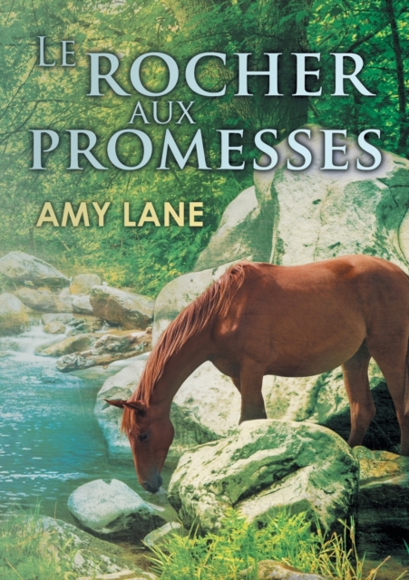 Le Rocher Aux Promesses, Paperback / softback Book