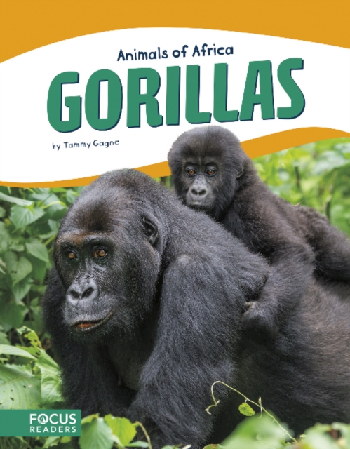 Animals of Africa: Gorillas, Paperback / softback Book