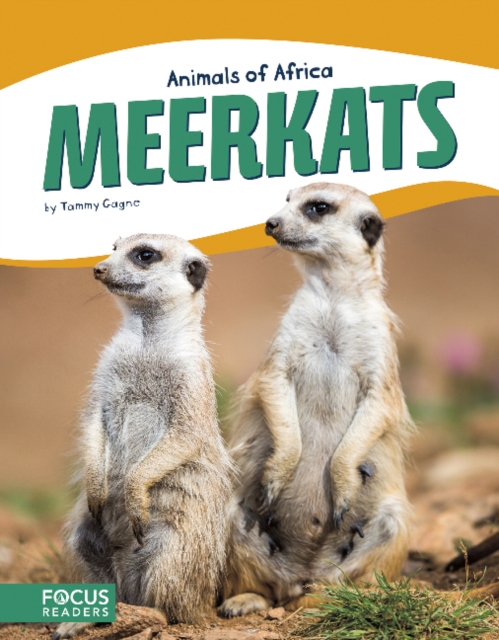 Animals of Africa: Meerkats, Paperback / softback Book